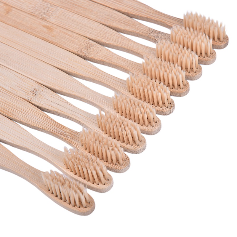 Eco-vriendelijke bamboe tanden - Biodegradable Eco Case recensie en prijs